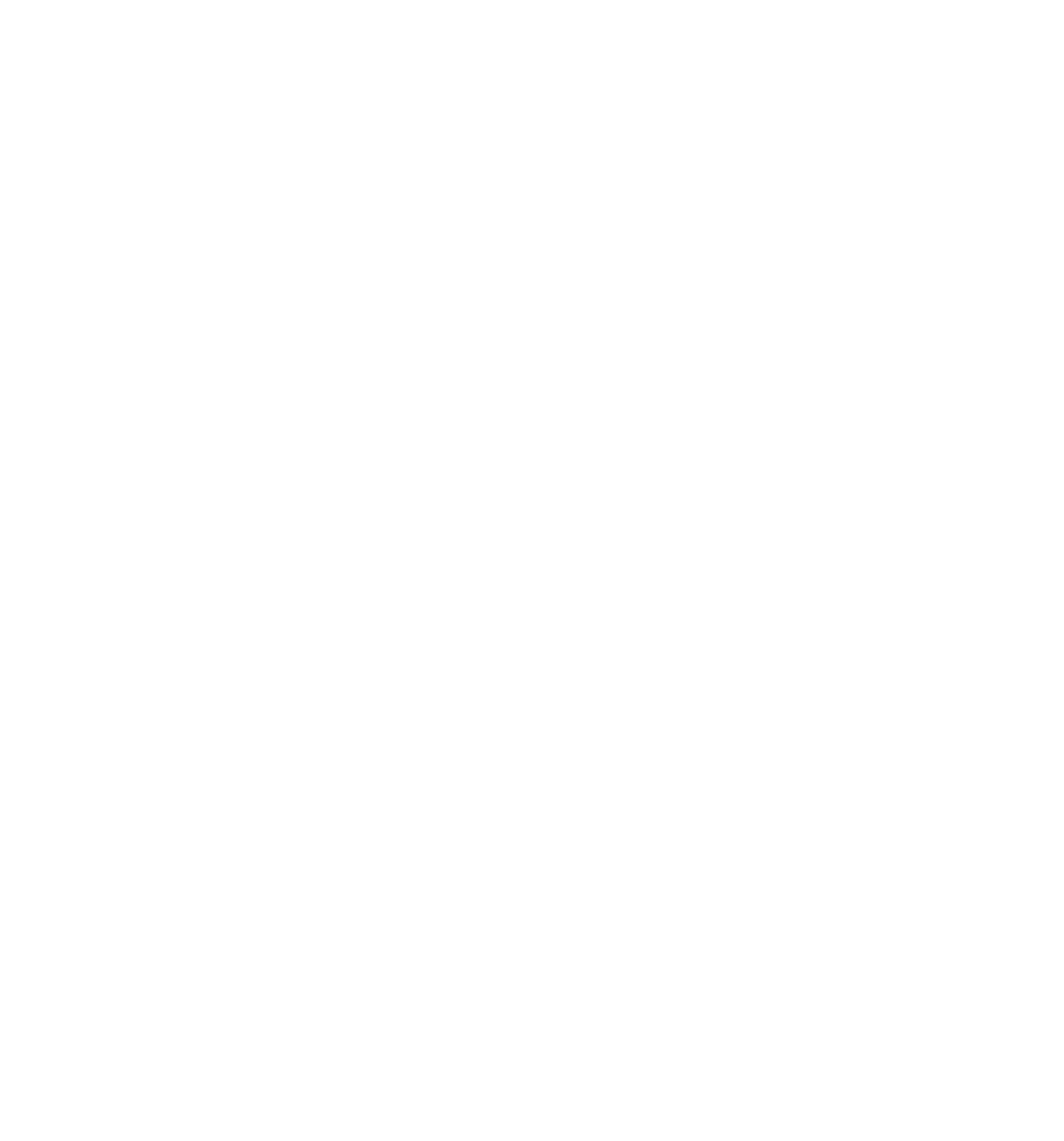 Ícone Escoteiro